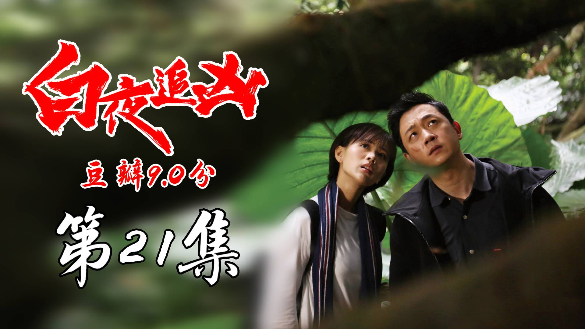 【白夜追凶21】:豆瓣9.0,深山中惊现五具男尸,哲学老师董乾神秘失踪